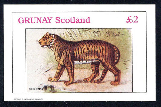 Grunay Tigers And Large Cats £2
