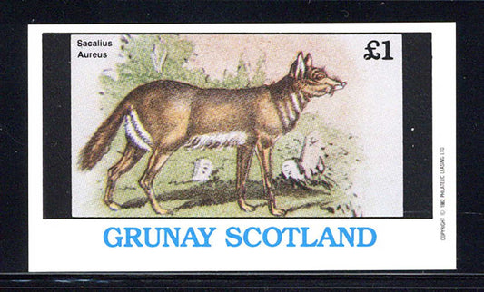 Grunay Interesting Animals £1