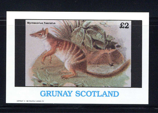 Grunay Interesting Animals £2