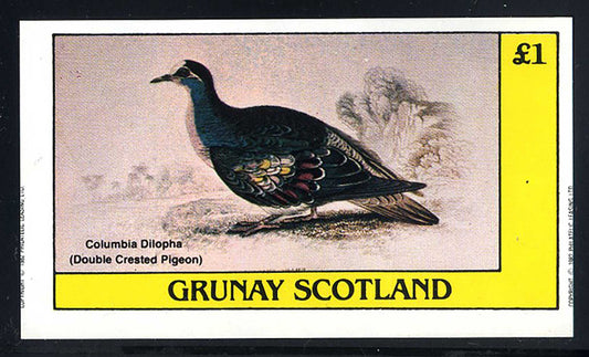 Grunay Fascinating Birds £1