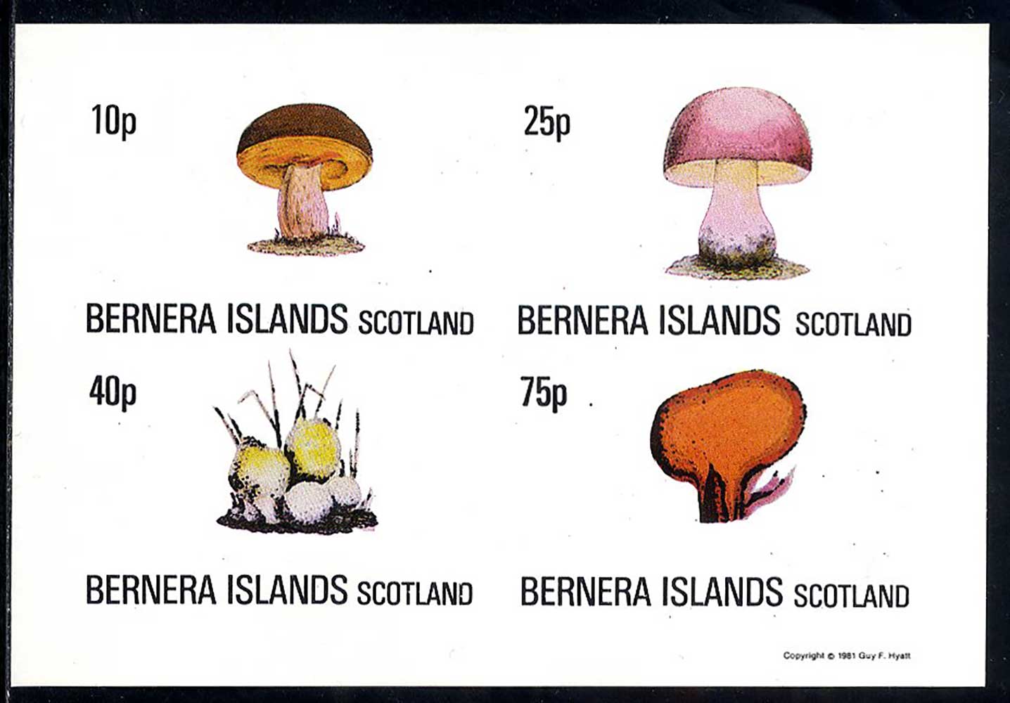 Bernera Fungi #1 Imperf