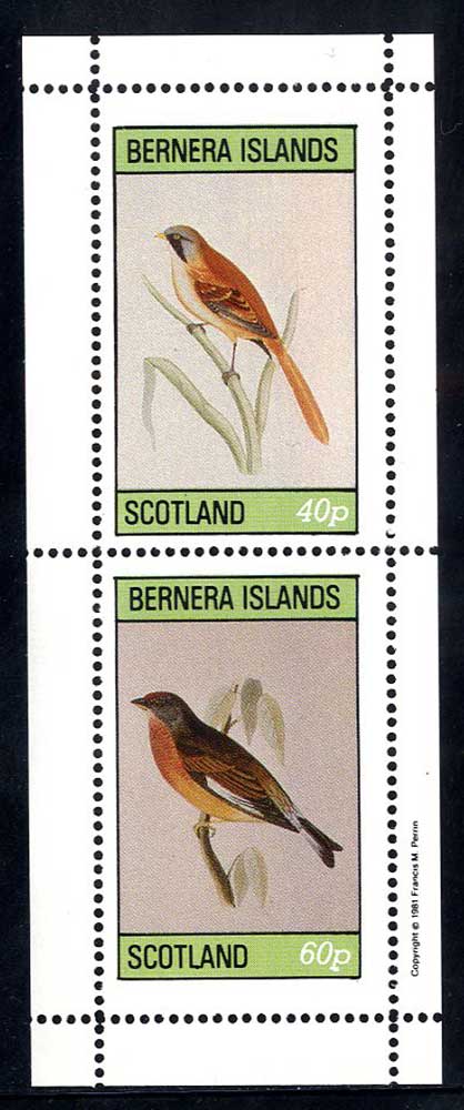 Bernera Old Bird Engravings