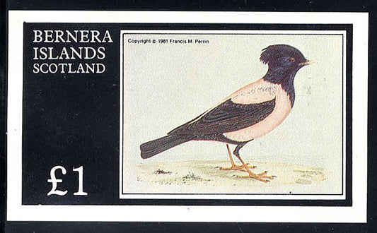 Bernera Old Bird Engravings £1