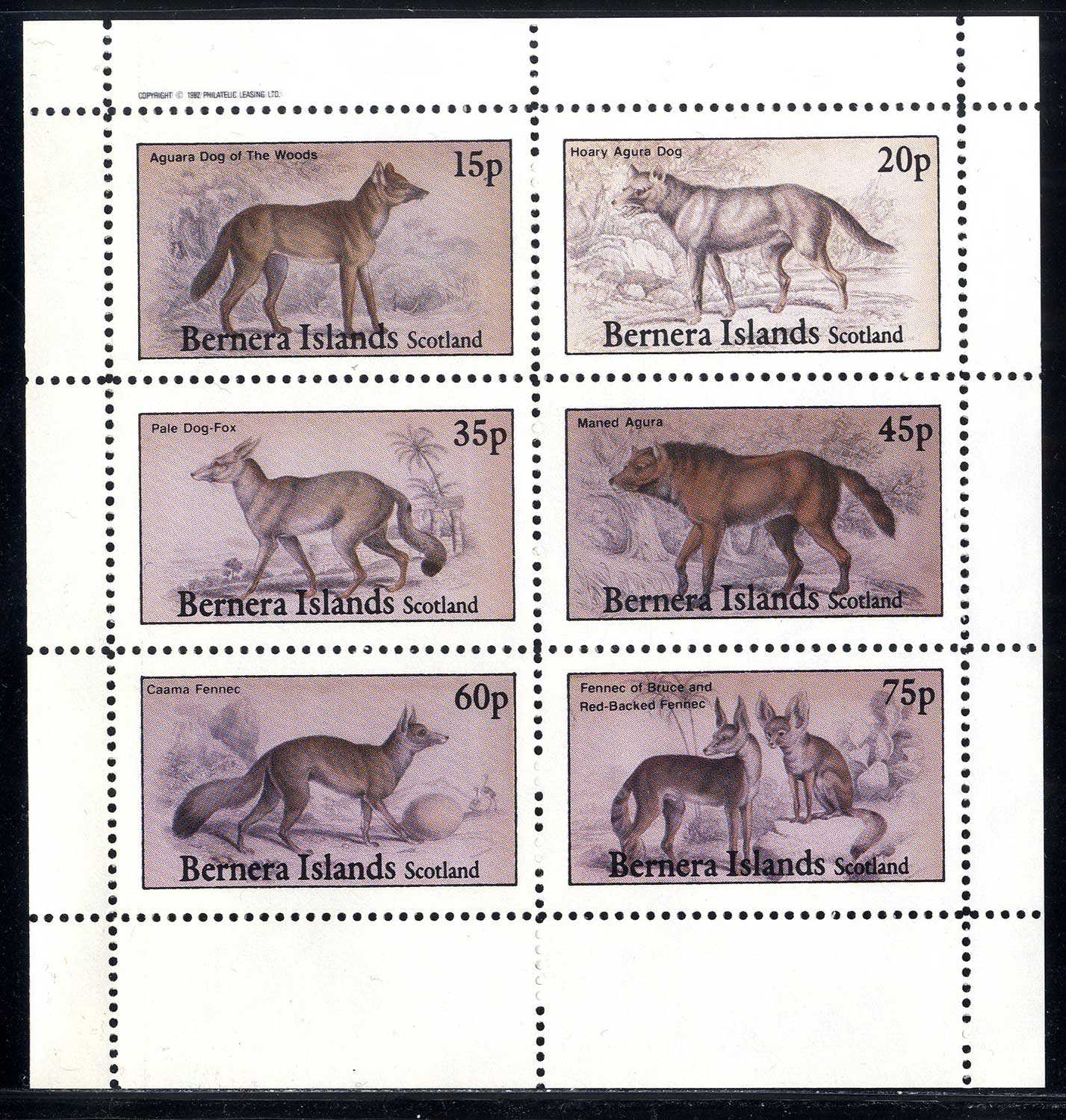 Bernera Mammalia, Dogs And Wolves