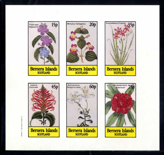 Bernera Exotic Flowers, Plants