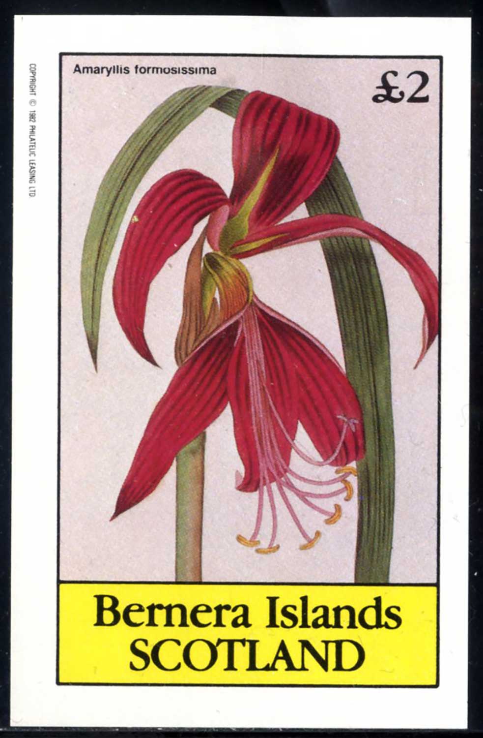 Bernera Exotic Flowers, Plants £2