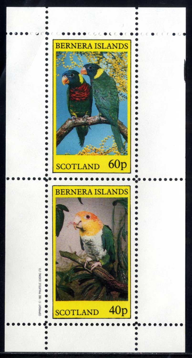 Bernera Colorful Parakeets
