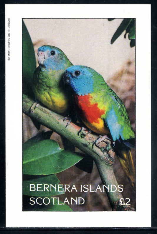 Bernera Colorful Parakeets £2