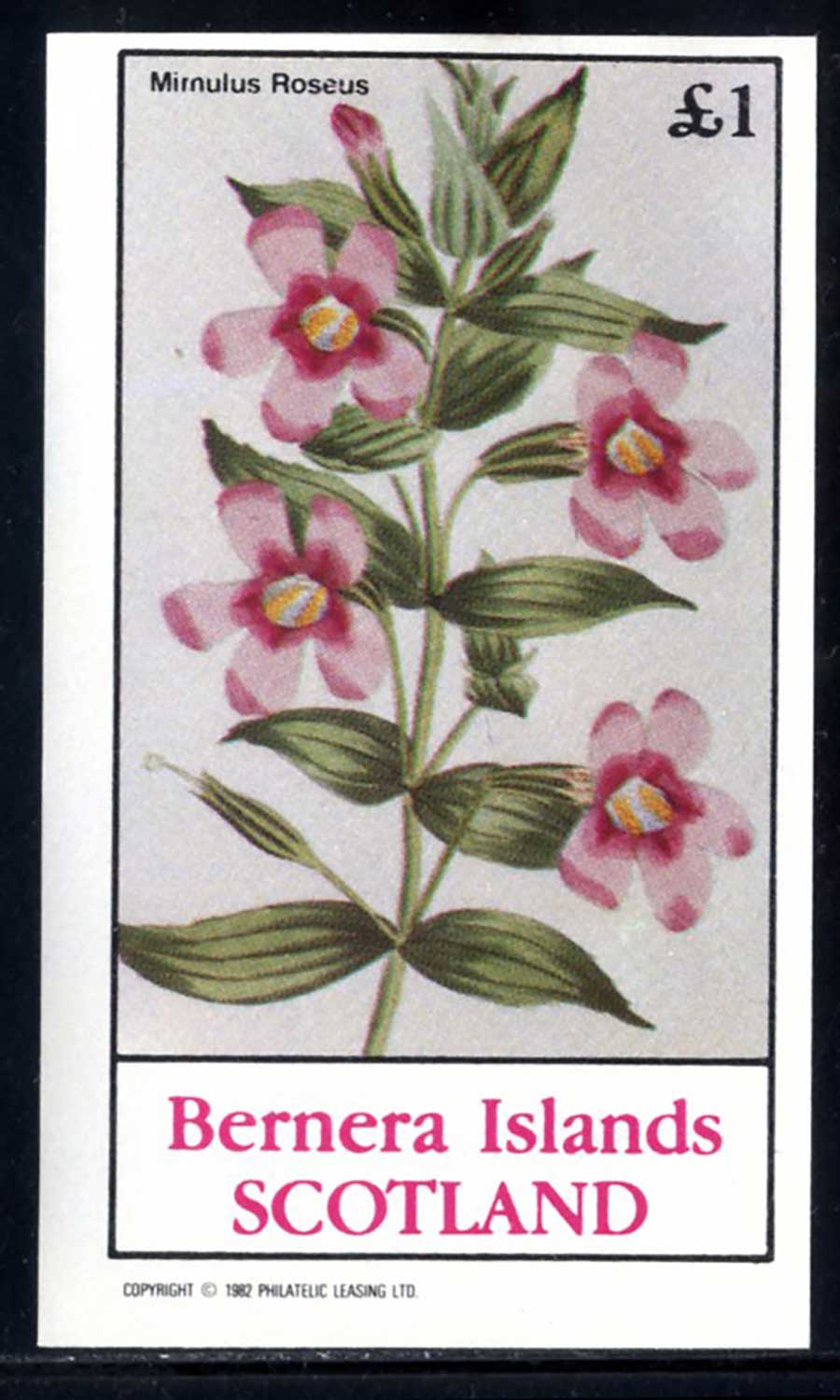 Bernera Blossoms £1