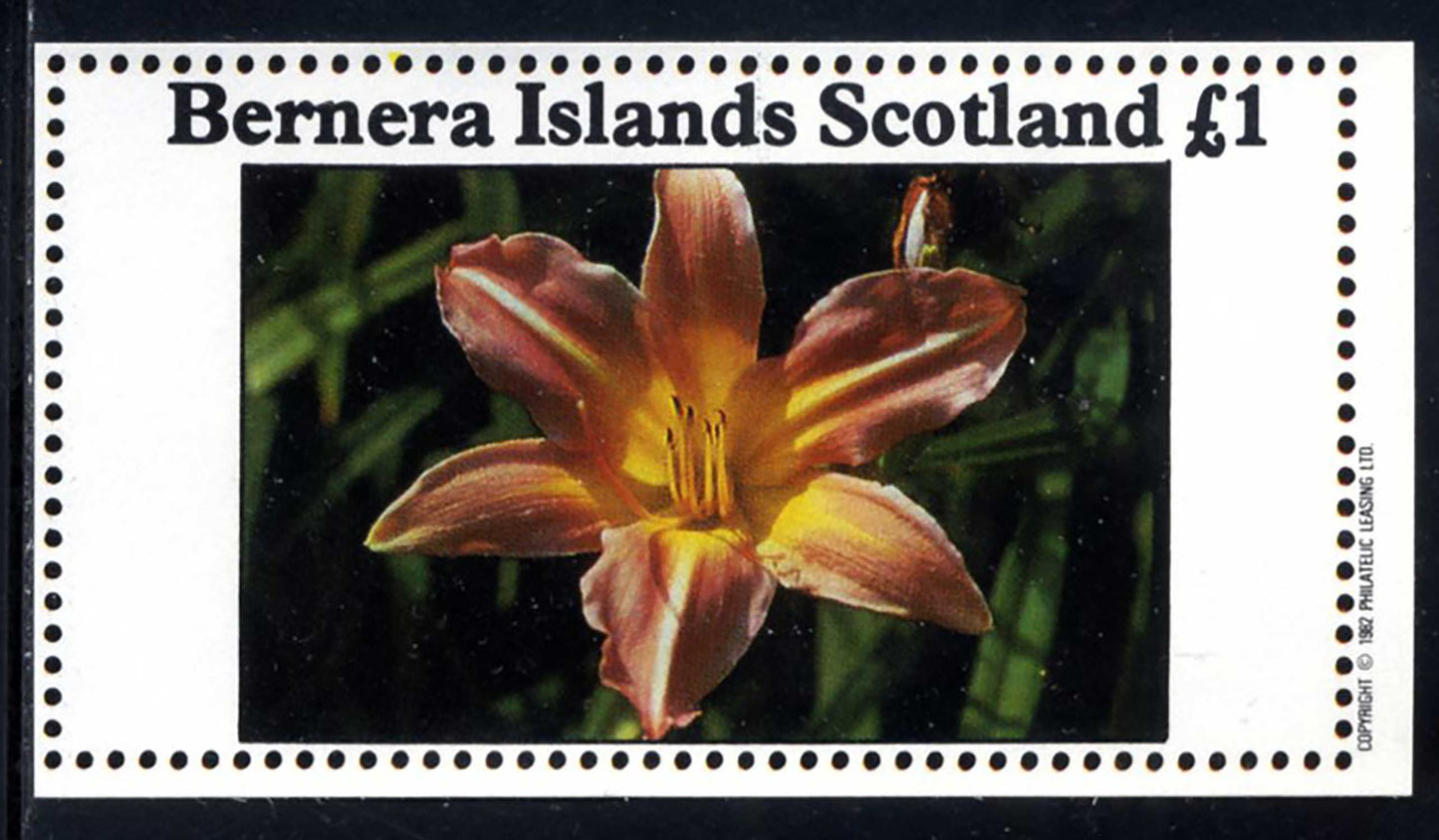Bernera Flora £1