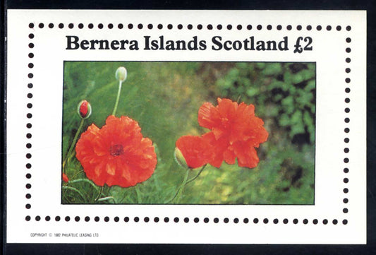 Bernera Flora £2