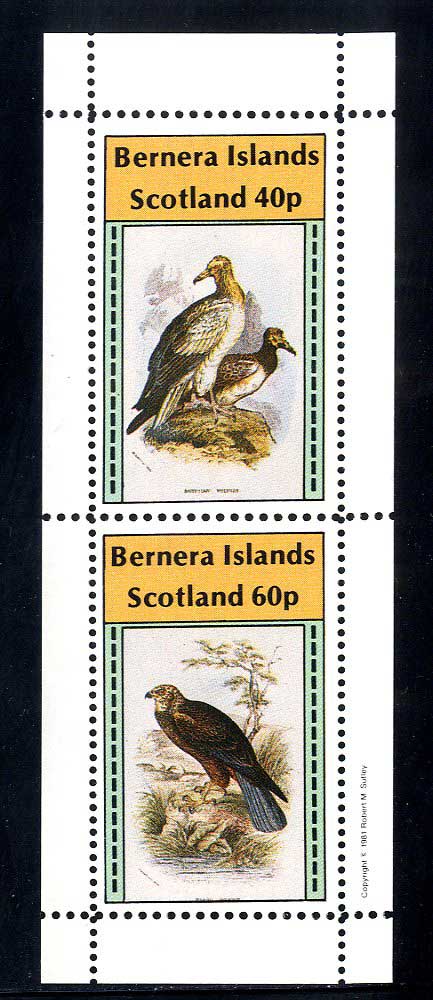 Bernera Birds Of Prey