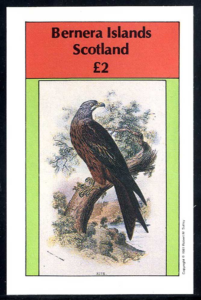 Bernera Birds Of Prey £2