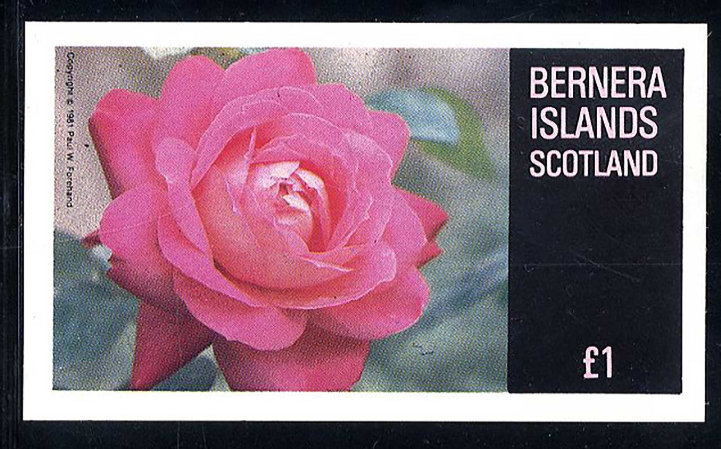 Bernera Roses £1