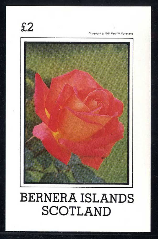 Bernera Roses £2