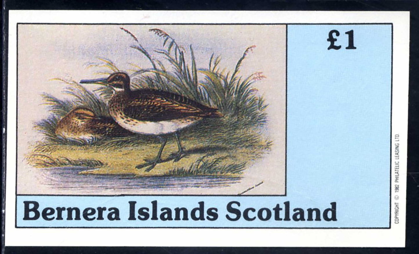 Bernera Waders £1