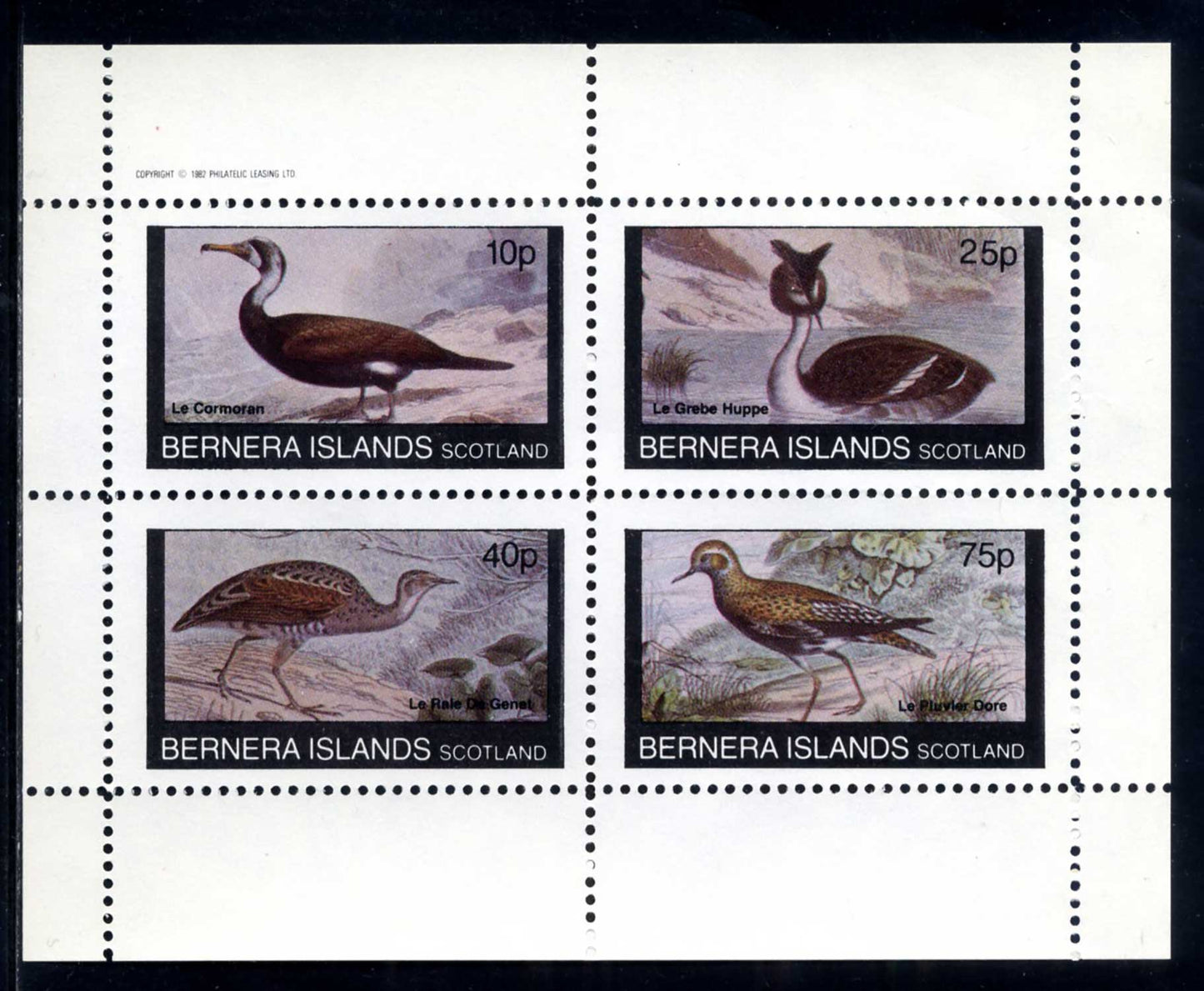 Bernera Birds In Motion