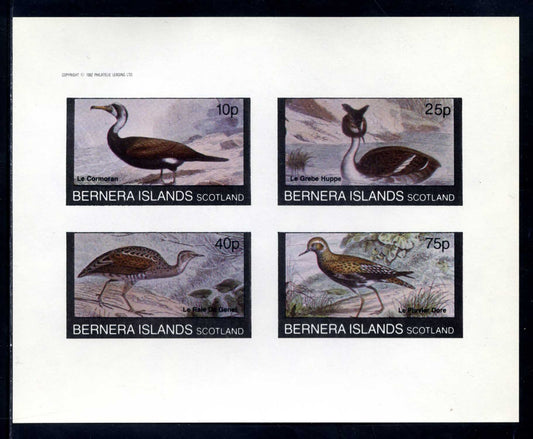 Bernera Birds In Motion Imperf