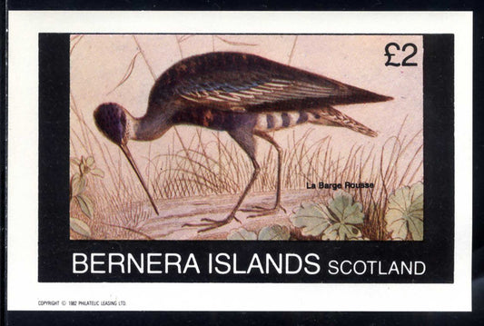 Bernera Birds In Motion £2
