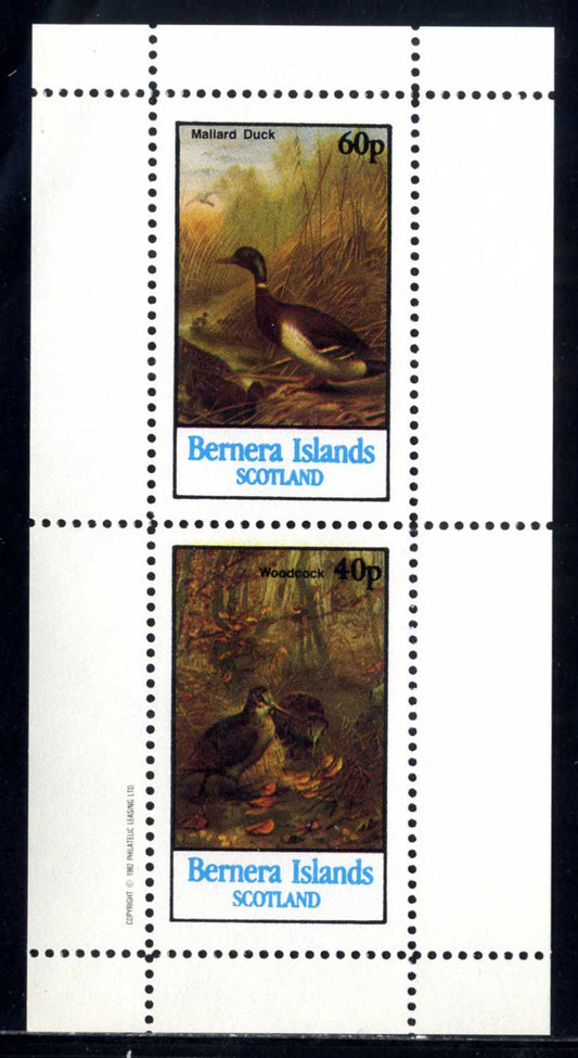 Bernera Ducks And Others