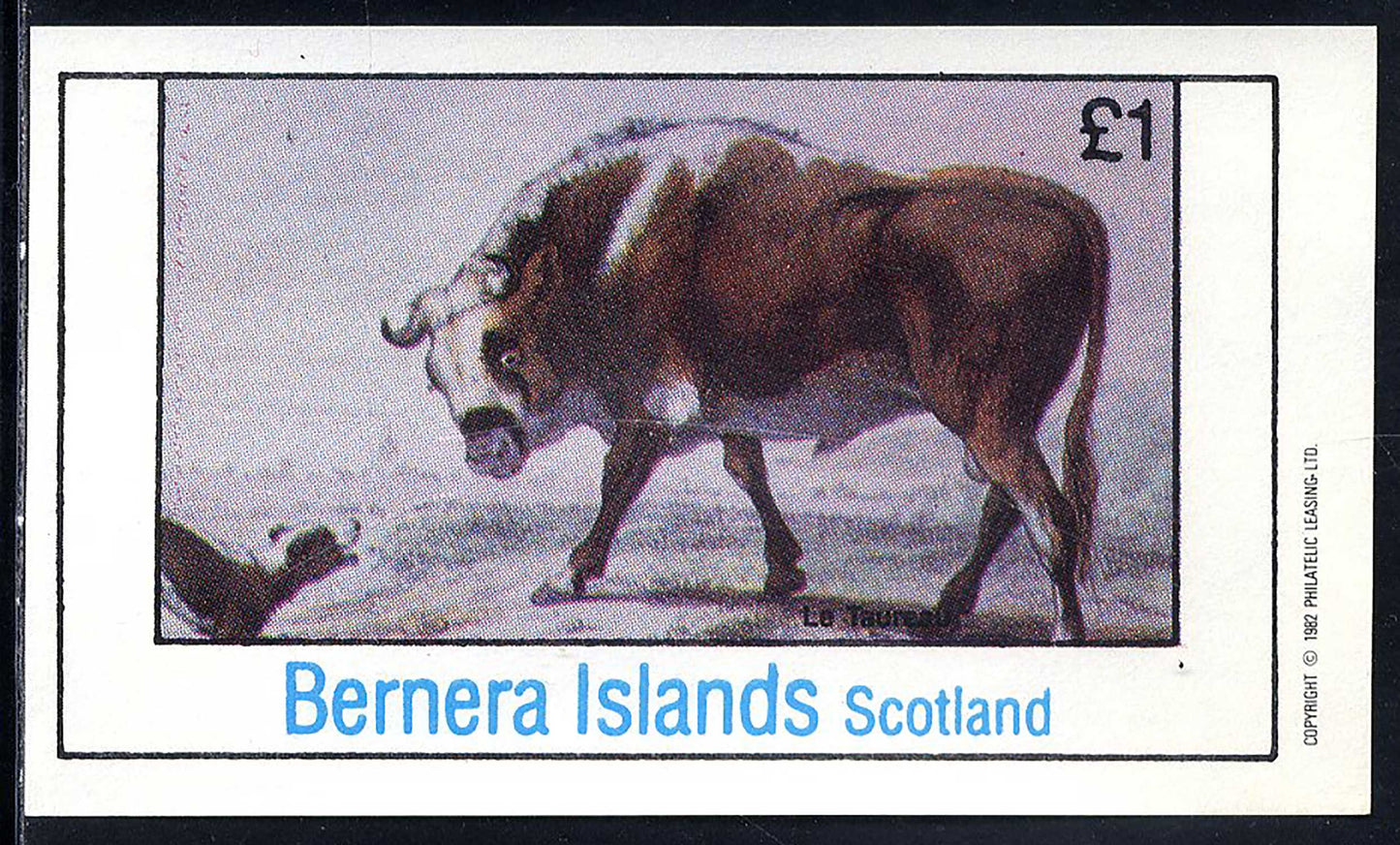Bernera Animals Of The World I £1