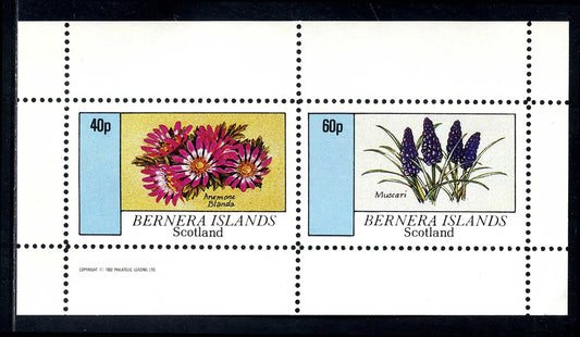 Bernera Spring Flowers