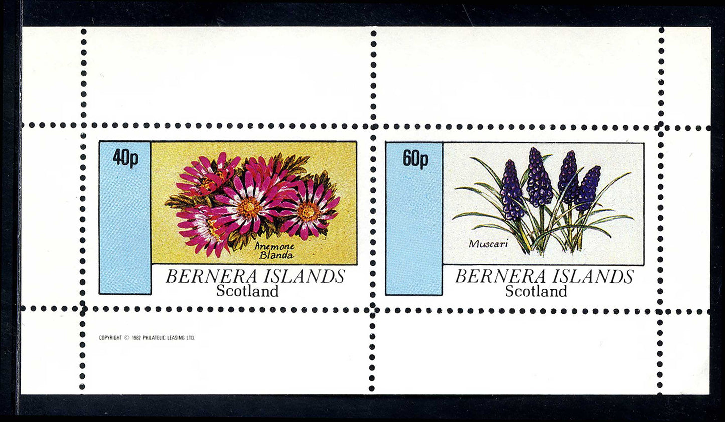 Bernera Spring Flowers