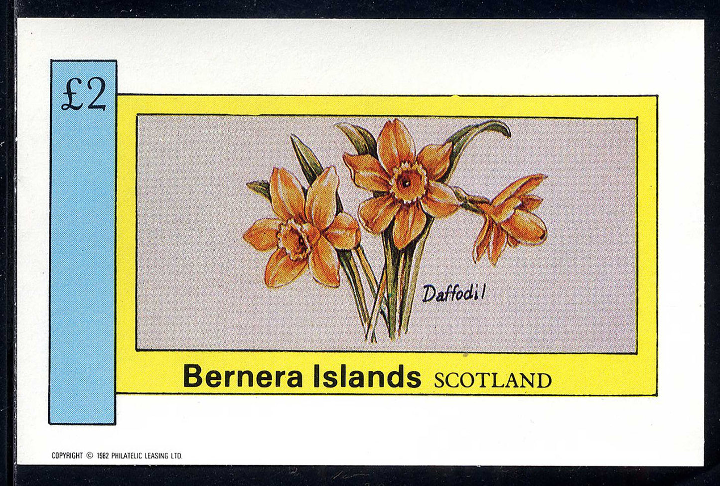 Bernera Spring Flowers £2