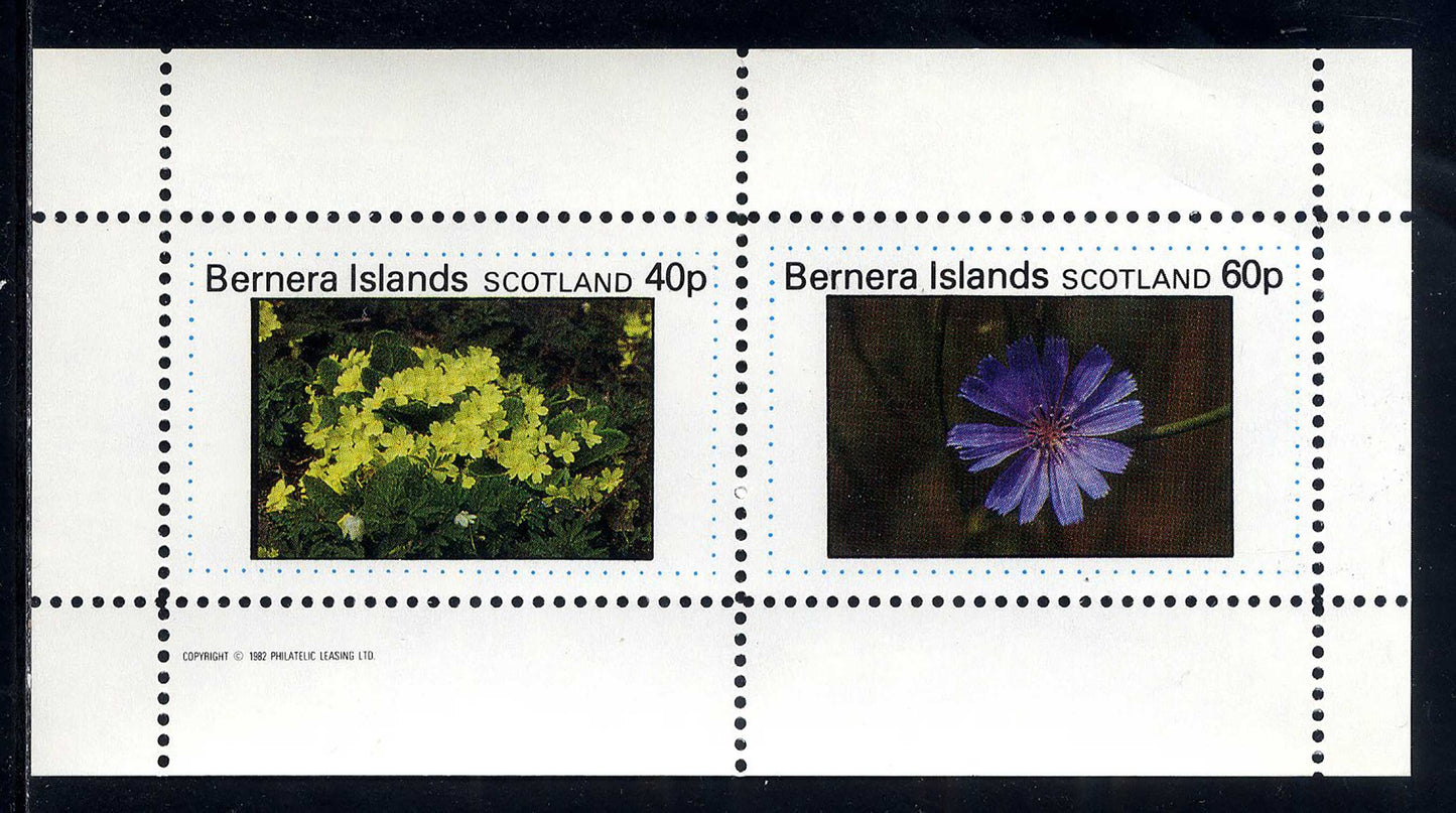 Bernera Spring Flowers II