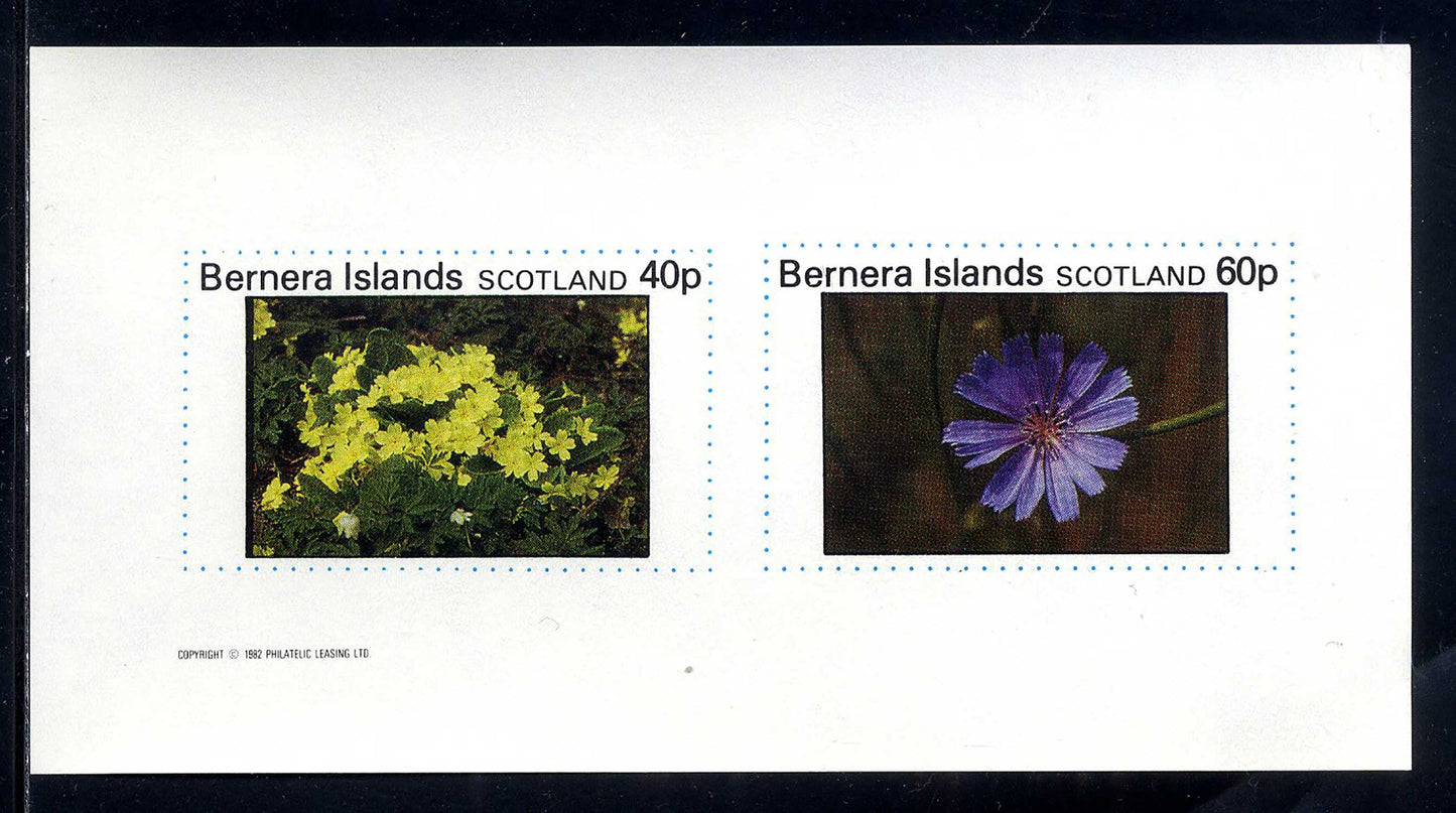 Bernera Spring Flowers II Imperf