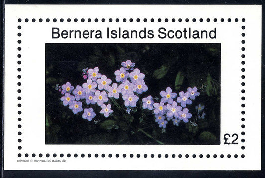 Bernera Spring Flowers II £2
