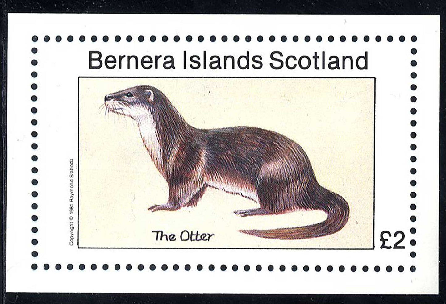 Bernera Swimming Mammals £2