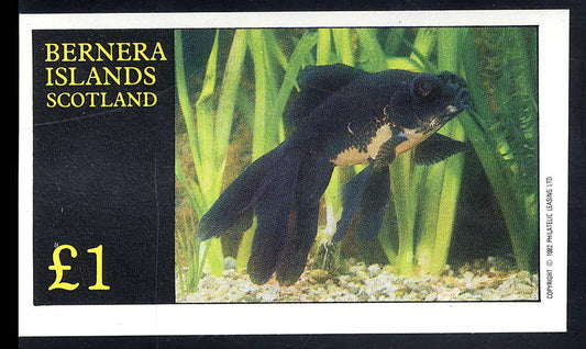 Bernera Pond Fish £1
