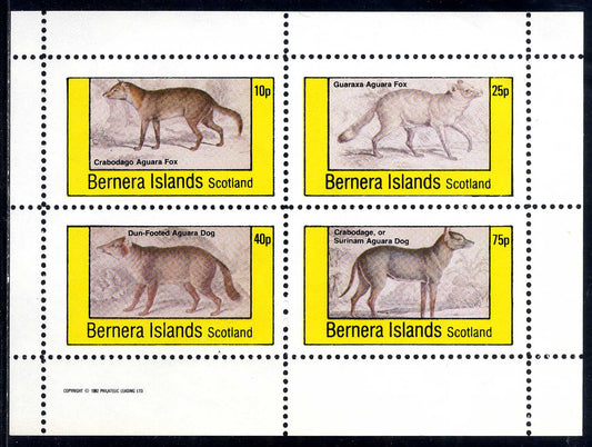 Bernera Dogs, Wolves, And Jackels