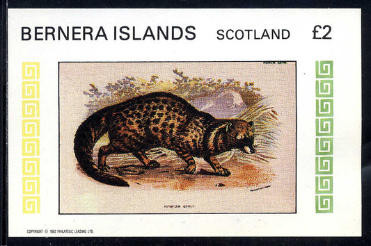 Bernera Big Cat Prints £2