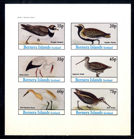 Bernera Mixed Birds