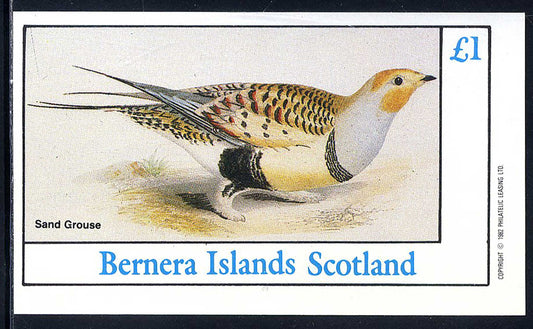 Bernera Mixed Birds £1