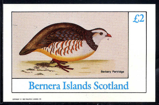 Bernera Mixed Birds £2