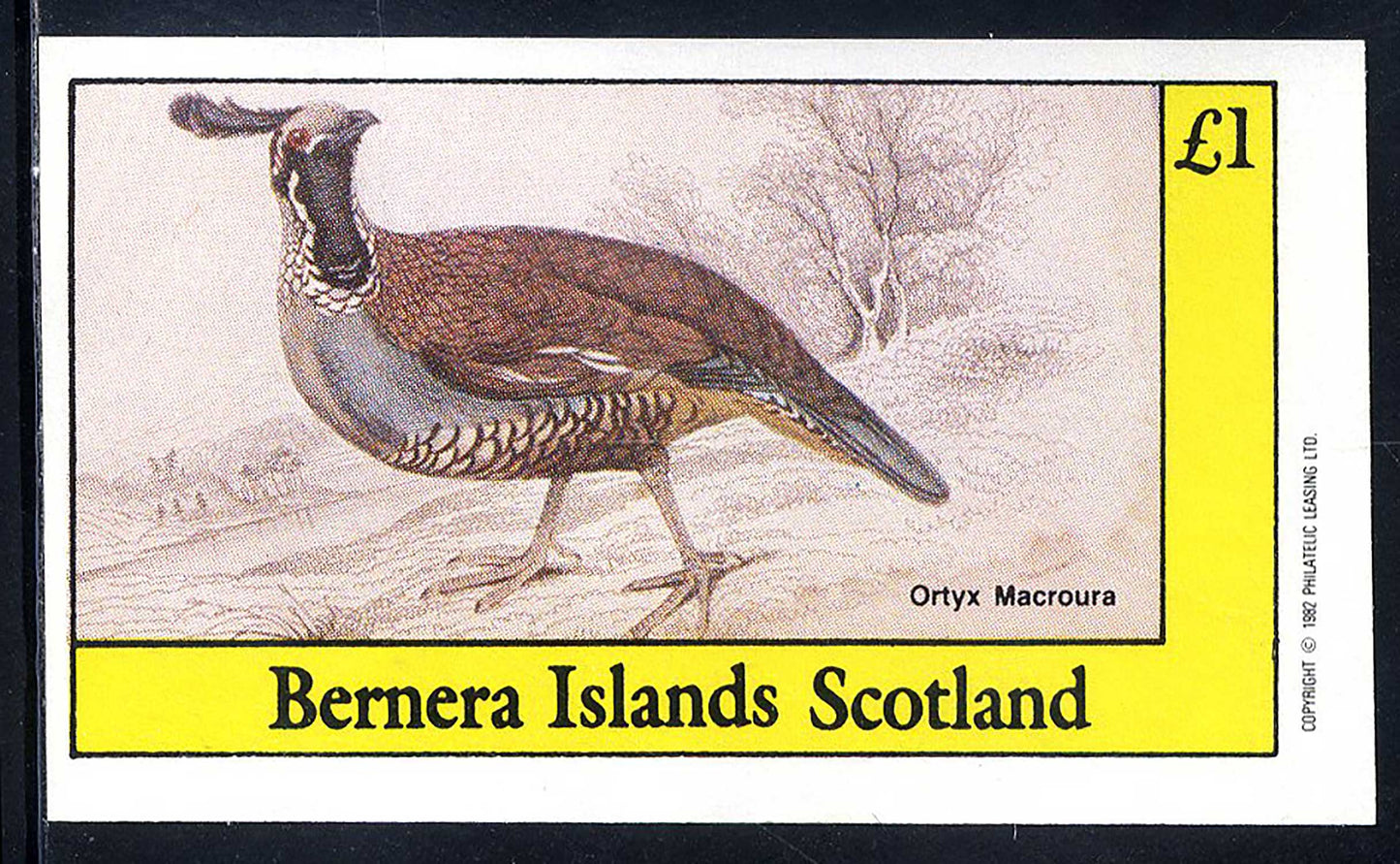 Bernera Proud Game Birds £1