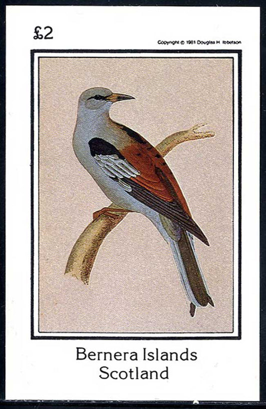 Bernera Bird Engravings £2