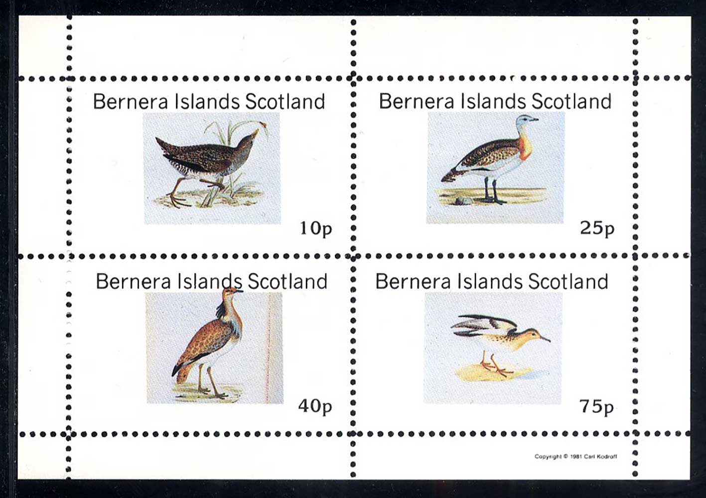 Bernera Water Birds