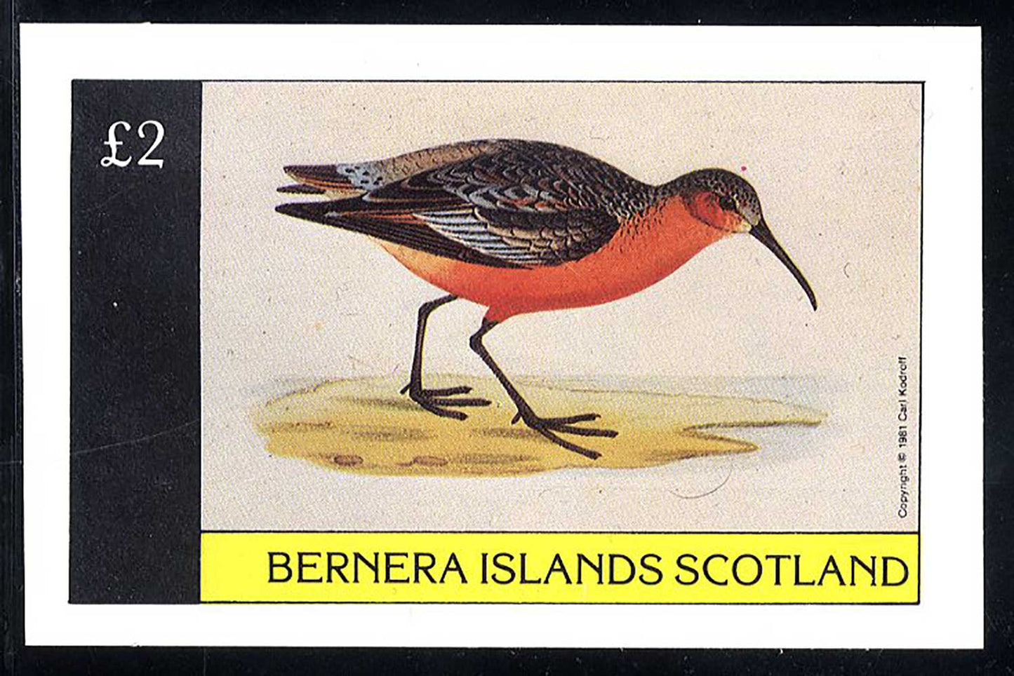 Bernera Water Birds £2