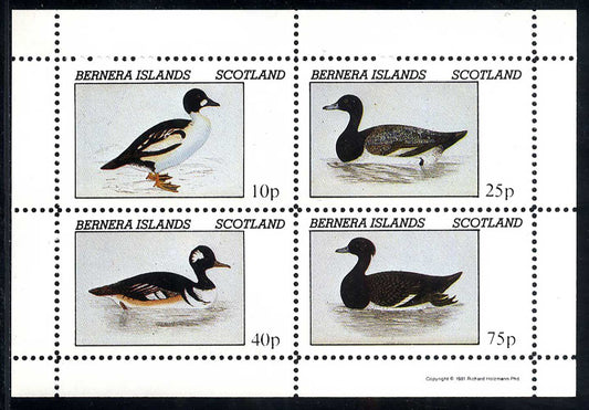 Bernera Birds Of The Water