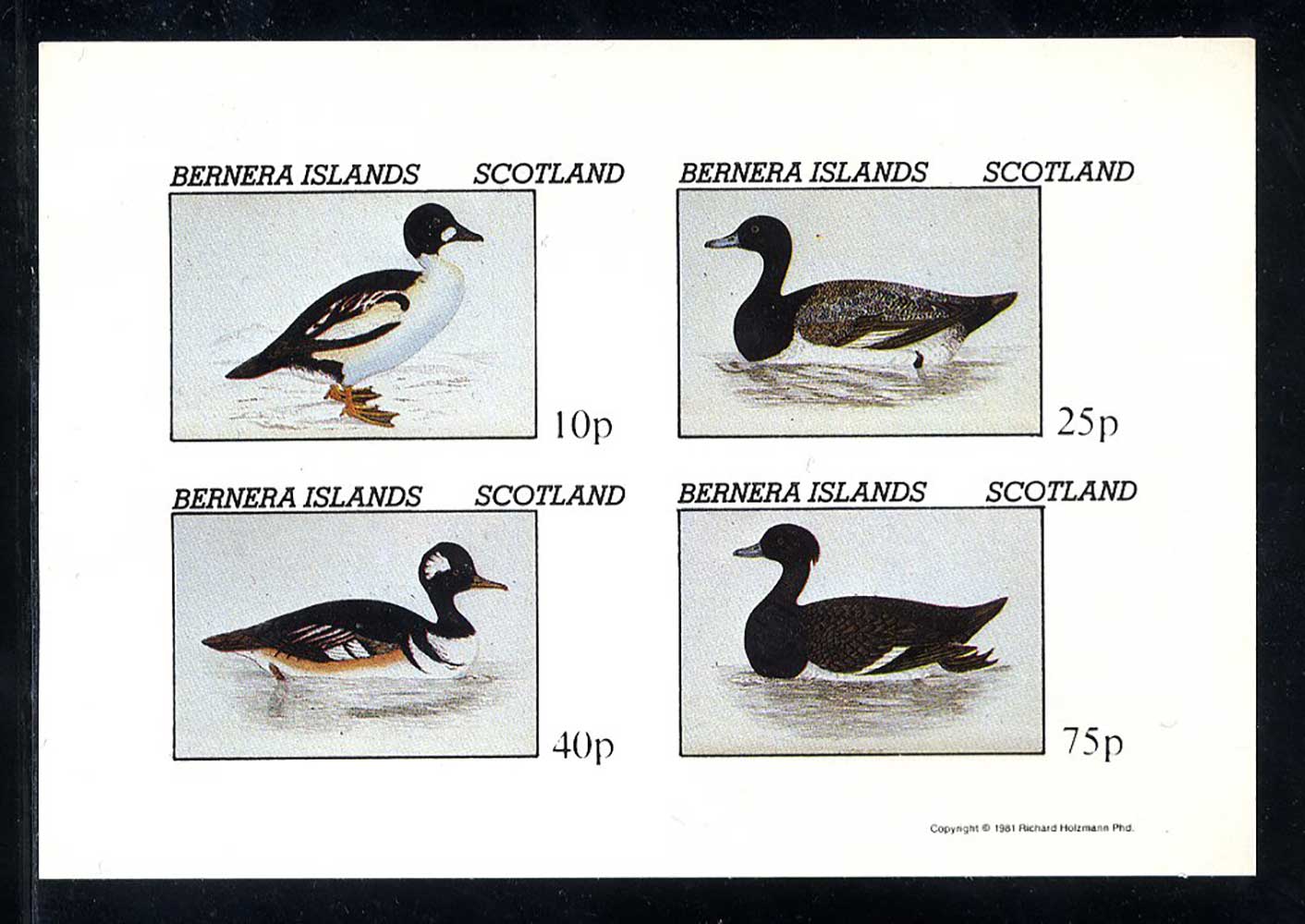Bernera Birds Of The Water Imperf
