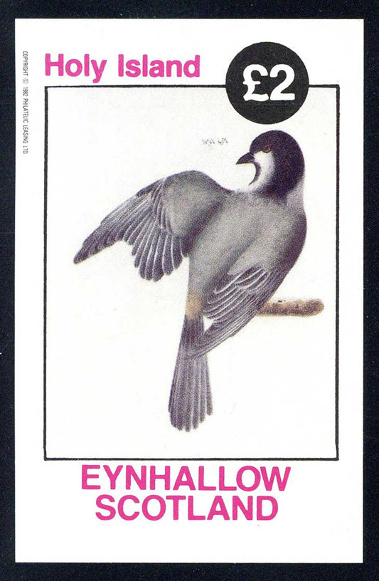 Eynhallow Fowl Birds Of New York £2