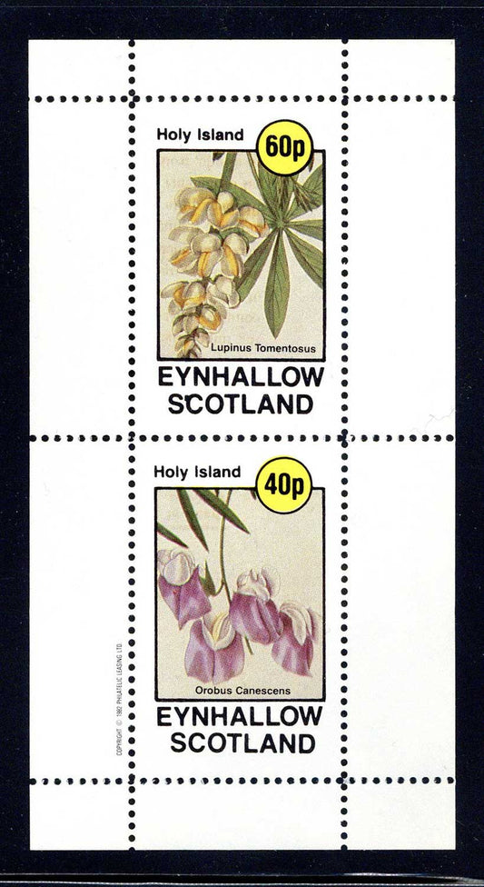 Eynhallow Polychromatic Flowers