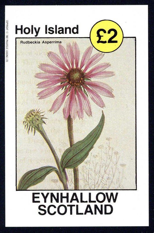 Eynhallow Polychromatic Flowers £2