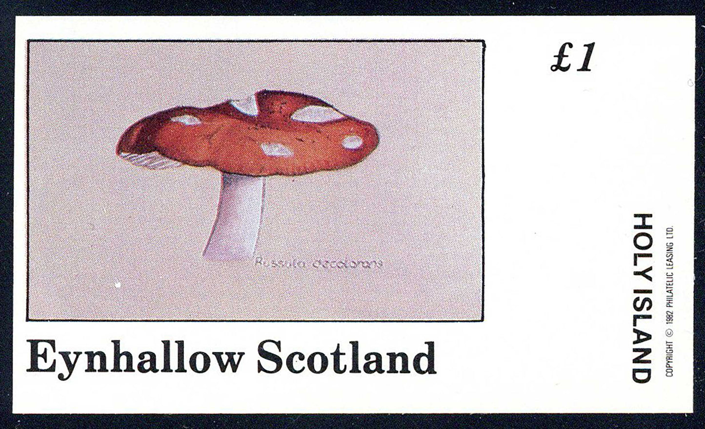 Eynhallow Fungi £1