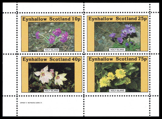 Eynhallow Flower Mixtures