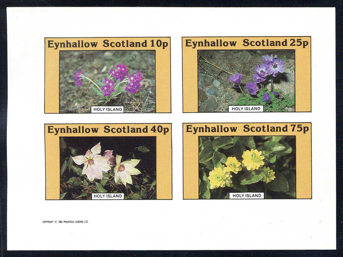 Eynhallow Flower Mixtures Imperf